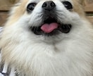 ちょっとした事で悩んでませんか?お話聞きます のんびりまったりと私とお話しませんか? イメージ1