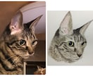 ペットの写真から水彩画か鉛筆画で似顔絵を描きます ペットの顔を描きます。原画をお届けします。 イメージ6