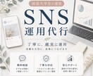 SNSの運用代行します 忙しい方のSNSを育てます（現在モニター受付中！！） イメージ1