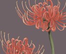 綺麗な植物のイラスト描きます リアルで落ち着いた色味の植物を描いています。 イメージ2