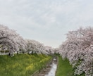 奈良旅行のプラン作成します 奈良公園と東大寺だけじゃもったいない。特別な「なら旅」の提案 イメージ4