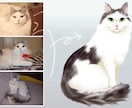 愛猫の絵をお描きします プレゼントにも◎写真ではできない、あったかいイラスト☆ イメージ3