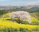 自分の苦しさを知り自分を制する。悩みを解決します 人の幸せも良いが自分の幸せも大切に。自分をもっと大切にしよう イメージ1