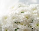 連絡が来ない、既読無視、どうすればいいのか占います すれ違い/冷たい態度/沈默の理由/喧嘩の後/本音を覗きます！ イメージ4