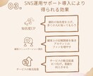 あなたのSNS運用をサポートします 画像制作〜運用まるごとおまかせまで最適なプランをご提案!! イメージ5