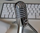 ライト版★プロがあなたの話し方と声を診断します 気軽に客観的評価が知りたい方へ！診断表をPDFでお渡しします イメージ3