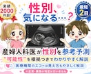 産婦人科医がエコーの性別予測と見え方を解説します 性別予測が可能か不安な方はお見積もりから無料で確認可 イメージ1