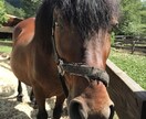 職場・プライベート・恋愛等の相談にのります ポジティブ思考でお応え致します！ イメージ1