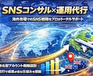 越境SNS×動画マーケで海外進出を支援します 【海外フォロワー7万人】越境SNS集客完全サポートパッケージ イメージ1