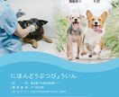 デザイン性重視★チラシ・フライヤーなど作成します 【修正回数無制限】【英語追加可能】 イメージ7