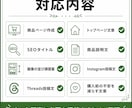 ネット販売導線を丸ごと整えます 商品ページ・文章・SNS導線まで設計 イメージ2