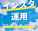 Instagram運用コンサルティングします 最新のノウハウでInstagramの悩み解決します イメージ1