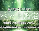 27年の経験による【本格ペット鑑定】を行います 何を考えているのか、どうして欲しいのかを知ることができます イメージ1