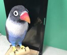 バードカービング します 小鳥やお気に入りの野鳥を木で彫ります イメージ3