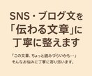 SNS・ブログ文を「伝わる文章」にリライトします 現役エンジニアが、あなたの文章をわかりやすく丁寧に整えます イメージ1