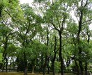 心の悩みについて親身に相談相手になります 一人で悩まないで。あなたの気持ち、電話で話しましょう。 イメージ4