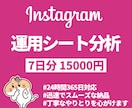 運用シート所有者限定でアカウント分析サポートします 運用シートを最大限活かしてインスタアカウントを更に成長！ イメージ1