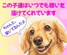 アニマルコミュニケーション/あの子の心の声伝えます あの子の想い、あなたへ伝えたいこと受け取ってみませんか？ イメージ1
