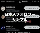 X日本人フォロワー1000人増やします Twitter日本人増加！最大で365日減少補填！振り分け可 イメージ2