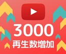 Youtube動画の再生回数+3000宣伝します 1再生=1.3円★10日間の保証★追加オプションでさらにお得 イメージ1