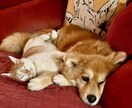 星占いであなたの片想いを占います 好きな人が何を考えてるか、知りたくありませんか？ イメージ1