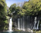 神社の神主が相談に乗ります どうか一人で抱え込まないでご相談ください イメージ4