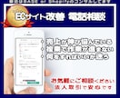 電話MTG｜ECサイト改善の事前相談を受け付けます 成功例からサイト改善点の指摘洗い出し｜月商4桁万円まで対応可 イメージ1