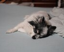 特別な日など関係なく写真に収めます 記念日などに捉われず思い出の1枚を残しませんか？ イメージ1