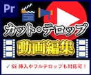 カット&テロップ編集します プロのデザイナーが責任を持って編集します イメージ1