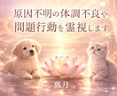 ペットの原因不明の病気や問題行動の原因を霊視します ペットの幸福と健康長寿の加持祈祷も承ります イメージ1