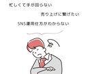 モニター価格！SNSの運用・運営代行します アカウント設計・プロフィールなどあなたのお悩み全部解決します イメージ3