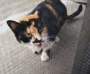 看護師さん！お話聞きます 職場の悩み、お話しませんか？誰でも通る道！お力になります✨ イメージ1