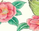 繊細で優しい雰囲気のイラスト描きます シンプルながら特徴のあるイラストをお探しの方のお役に立ちます イメージ3