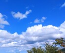 迷いをクリアに✨させます ジュース(塩)の味の変化を情報の一つとして✨ イメージ1