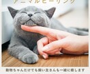 ペット(犬猫)アニマルヒーリングで体調を整えます オーダーメイドヒーリングで穏やかで元気な日常をサポートします イメージ3