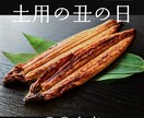 高知県のお店をアピールするデザインを作ります 高知県を愛するデザイナーが作成します！ イメージ1