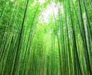 ストレス☘️不安☘️孤独感☘️ぶっ飛ばします 電話が苦手な方のためのサービス✨✨ イメージ3
