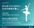 あなたは今、何g？｜レイキ×重力診断教材ます 自分への違和感、それは目に見えない重力。その重力を測る。 イメージ1