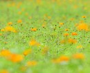 人に振りまわされて損ばかり★いい人の護身術教えます テキスト＆ワンポイントアドバイス✨️自分の身は自分で守ろう！ イメージ4