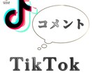 TikTok【いいね+500】増やします ◉日本人ユーザーコメントも+5コメント付き◉ イメージ2