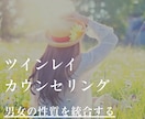 ツインレイカウンセリング　自己統合のサポートします 統合前に内面の『男女の性質のブロック』を外す必要があります イメージ1