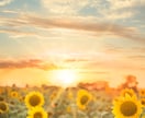 17日中に鑑定♡霊視×霊感タロット人間関係を視ます あなたの人間関係を深く視ていきます♡ イメージ11