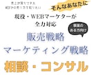 あなたに合わせてマーケティング戦略をコンサルします 現役WEBマーケター全力対応【戦略を整えるだけで売上アップ】 イメージ1