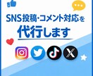 SNS投稿・コメント対応を代行します SNS運用が忙しい方の作業部分だけお手伝いします イメージ1