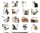 あなたの可愛いペットのLINEスタンプを作ります 画像共有頂いて、LINEスタンプを作成します！ イメージ2