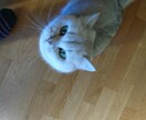 自分の中に溜まっている物全部聞きます 周りには言えない。そんなことでも聞きますよ イメージ2