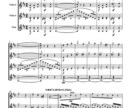 ソロやアンサンブルに編曲いたします お気に入りの作品を室内楽や小編成吹奏楽・管弦楽にア イメージ1