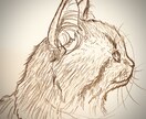 猫ちゃんのイラスト描きます 写真があればどんな猫ちゃんも描きます✏️ イメージ5