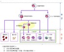 看護学生さん必見！完全個別サポートを行います 国家試験対策・実習対策、なんでもご相談ください⭐️ イメージ3