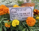 味のある手書きPOPを書きます 長く愛されるPOPが得意です。 イメージ2